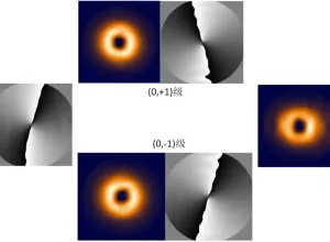 [VirtualLab] 二维叉形光栅产生涡旋光阵列