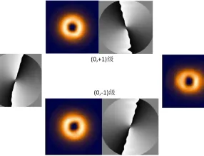 [VirtualLab] 二维叉形光栅产生涡旋光阵列
